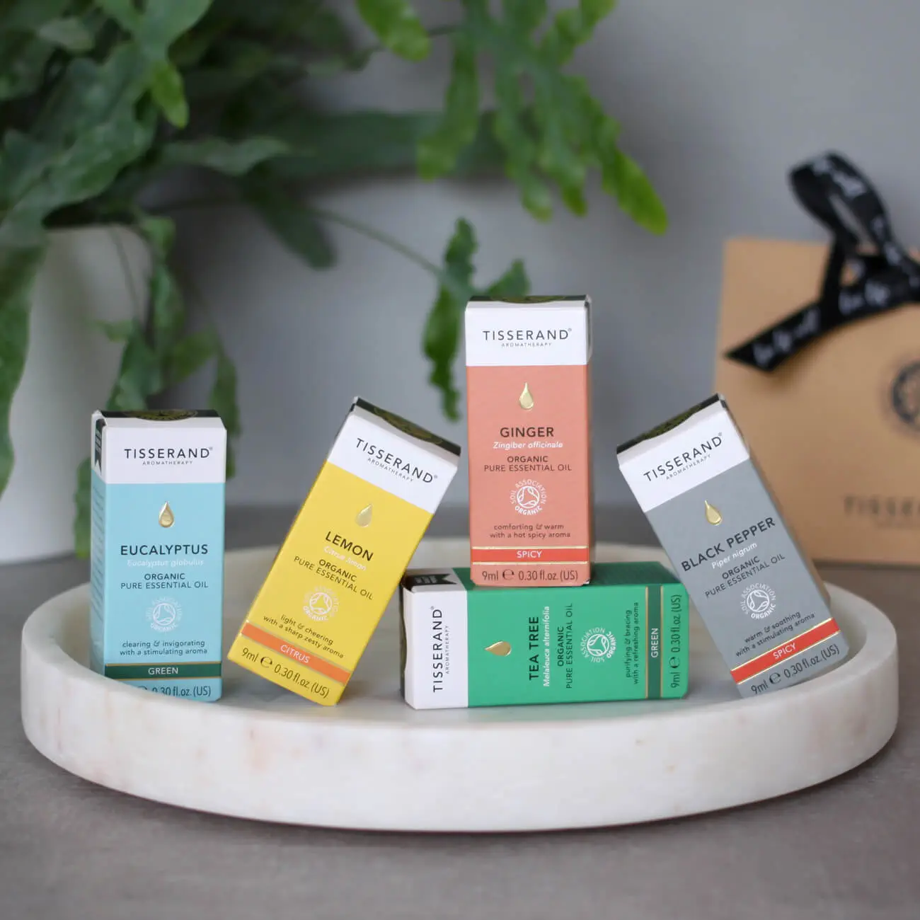 Organic Winter Essential Oil Toolkit